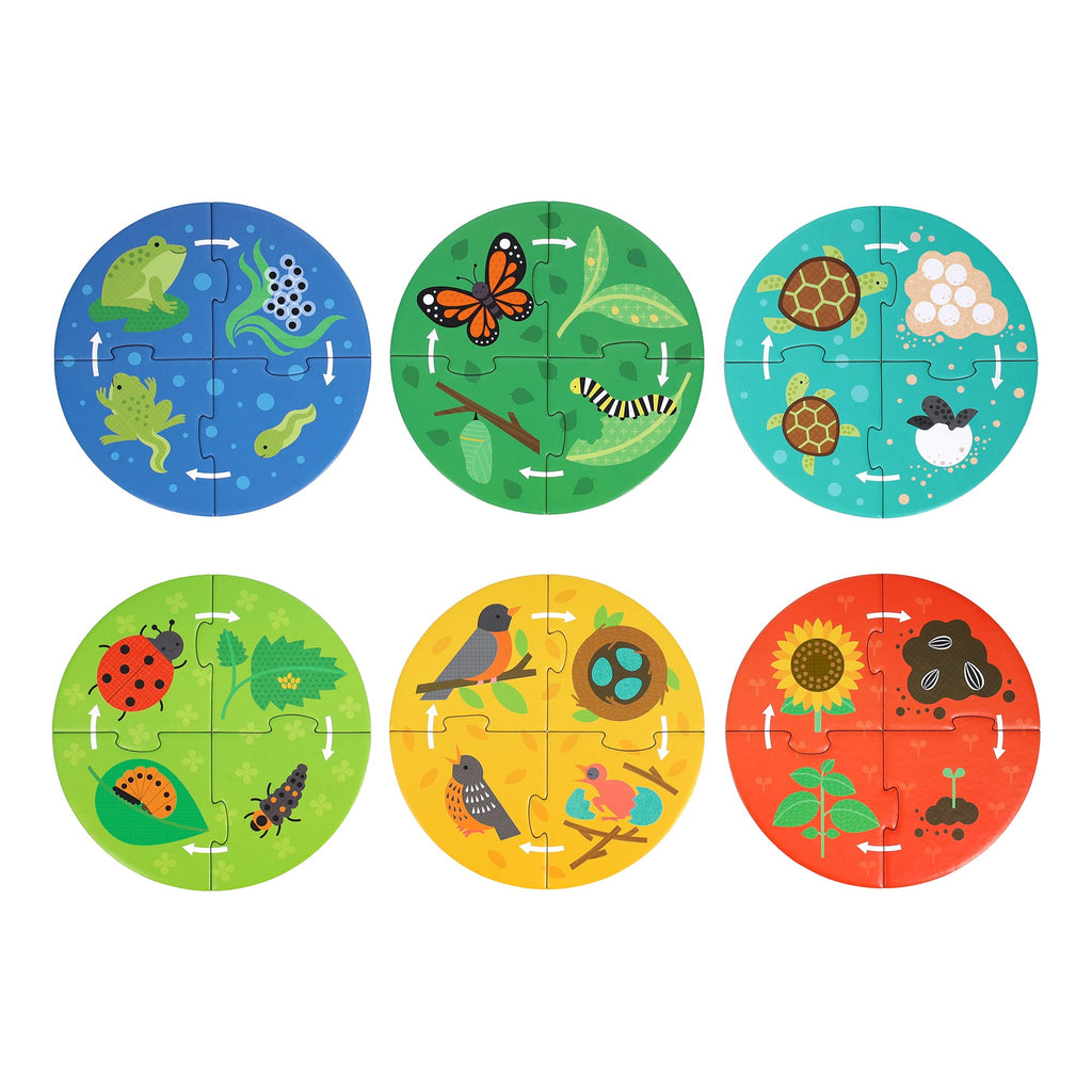 Discovery Puzzle: Life Cycle