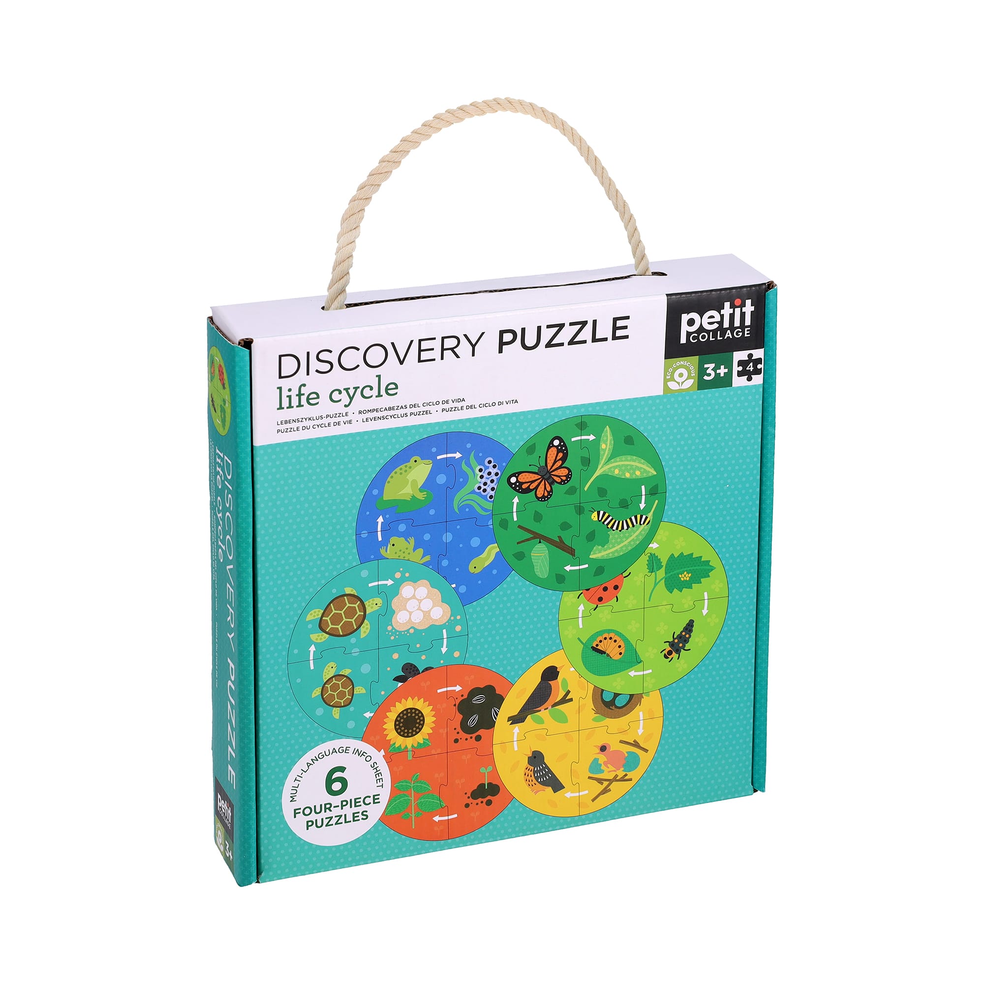 Discovery Puzzle: Life Cycle