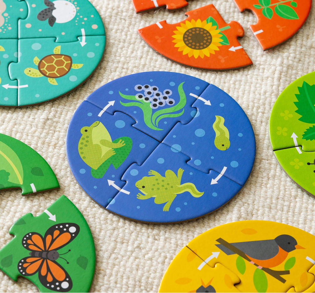 Discovery Puzzle: Life Cycle